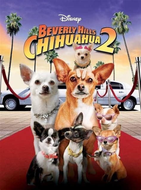 beverly hills chihuahua cast 2|beverly hills chihuahua 2 dog park.